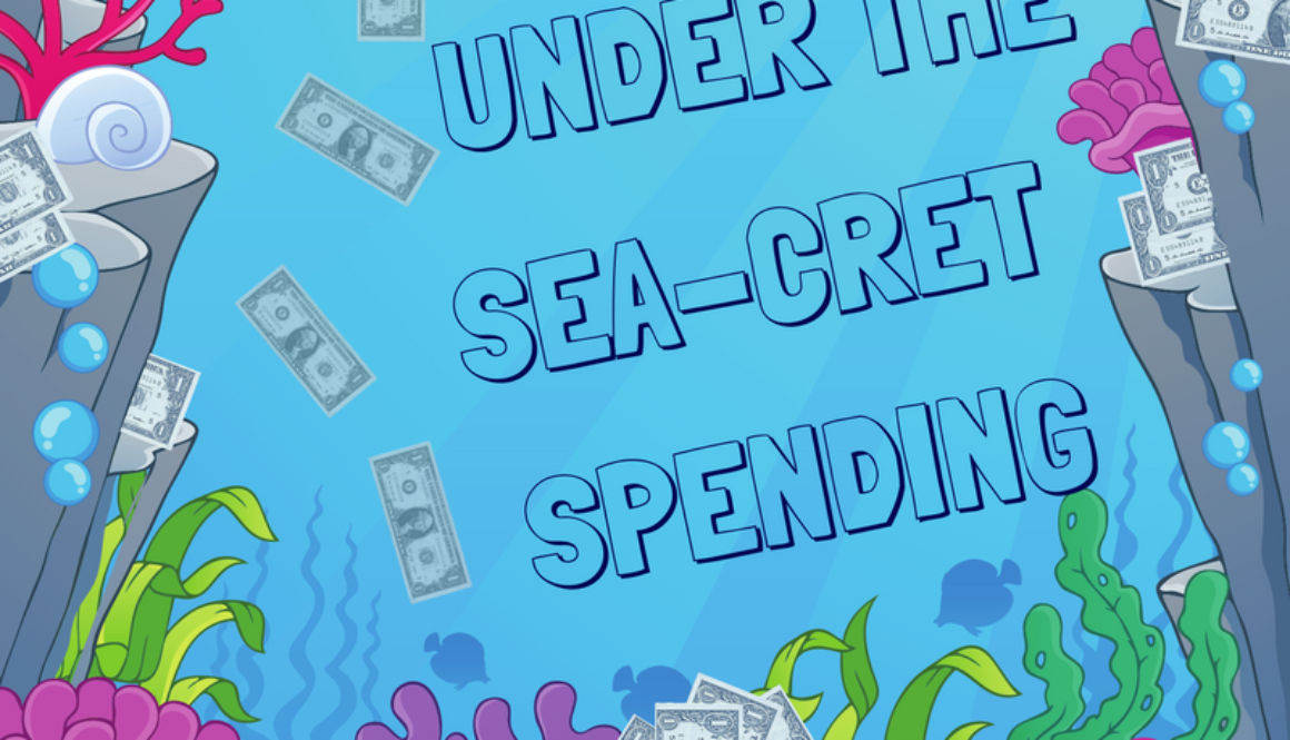 Under the sea-cret spending graphic
